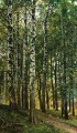 白樺林 1896 古典的な風景 Ivan Ivanovich